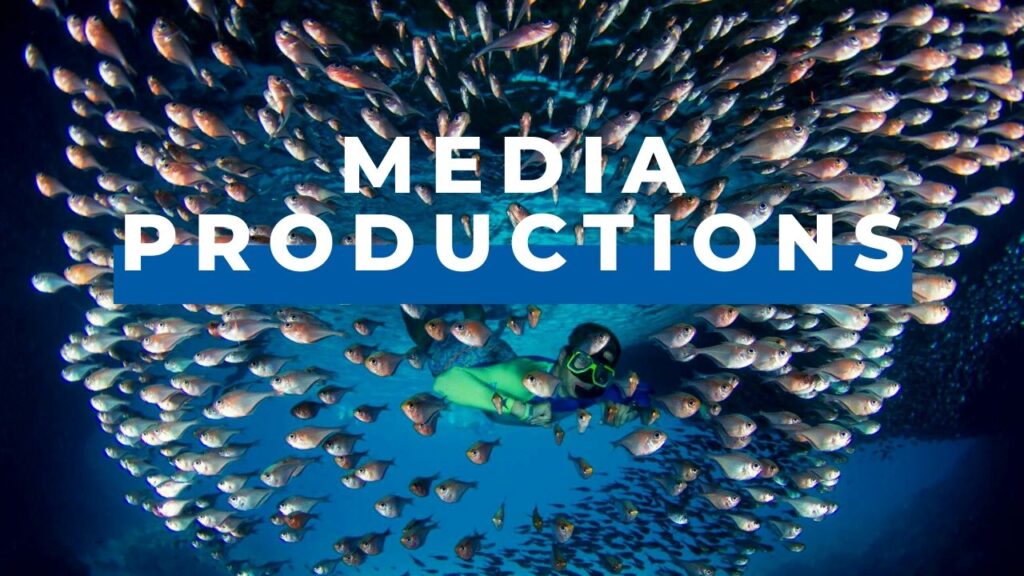 Dive Division Media