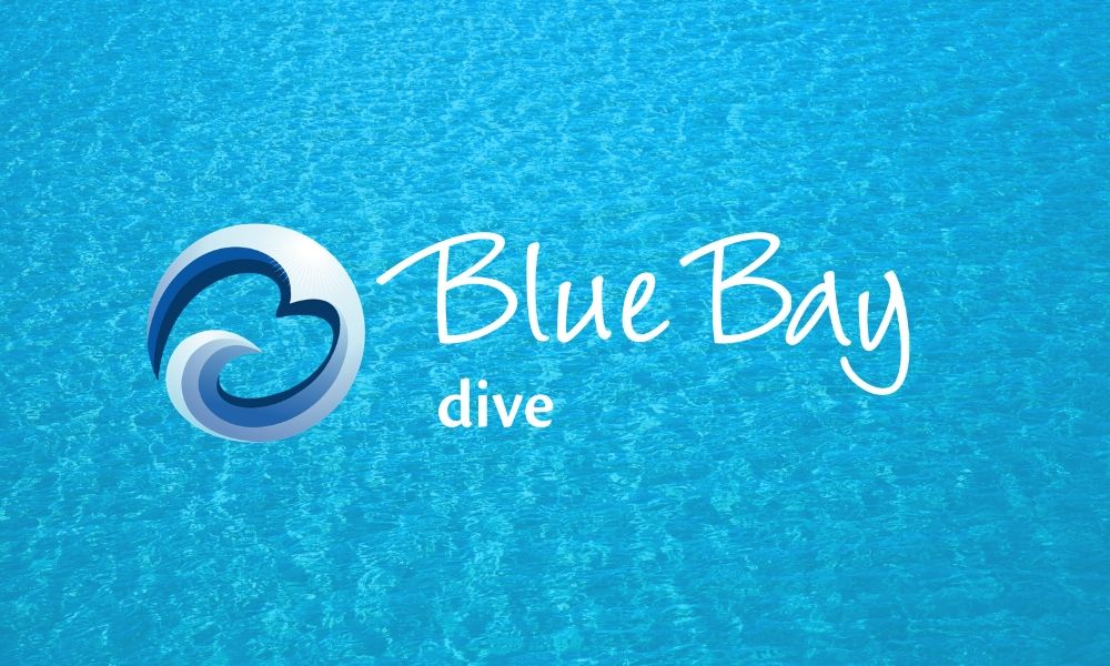 Blue Bay Dive Curacao