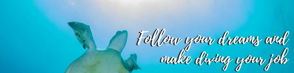 Follow you dreams and make diving your job
