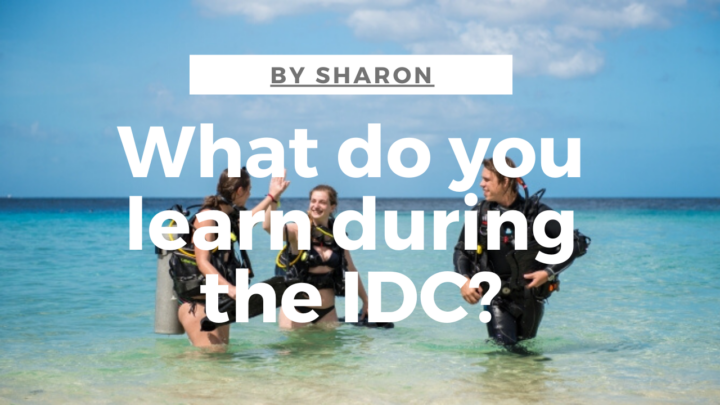 What do you learn during the idc