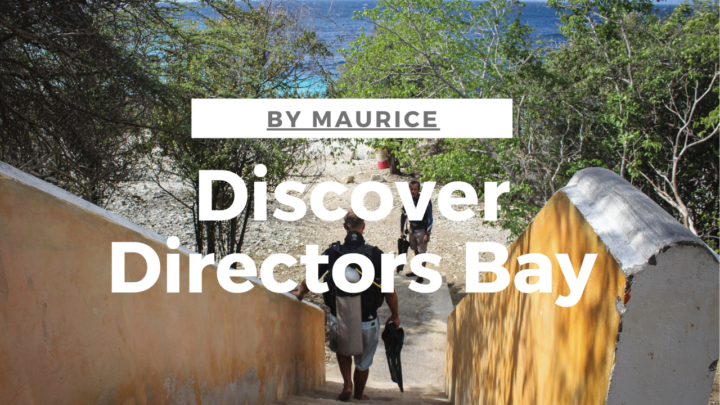 Discover Directors Bay