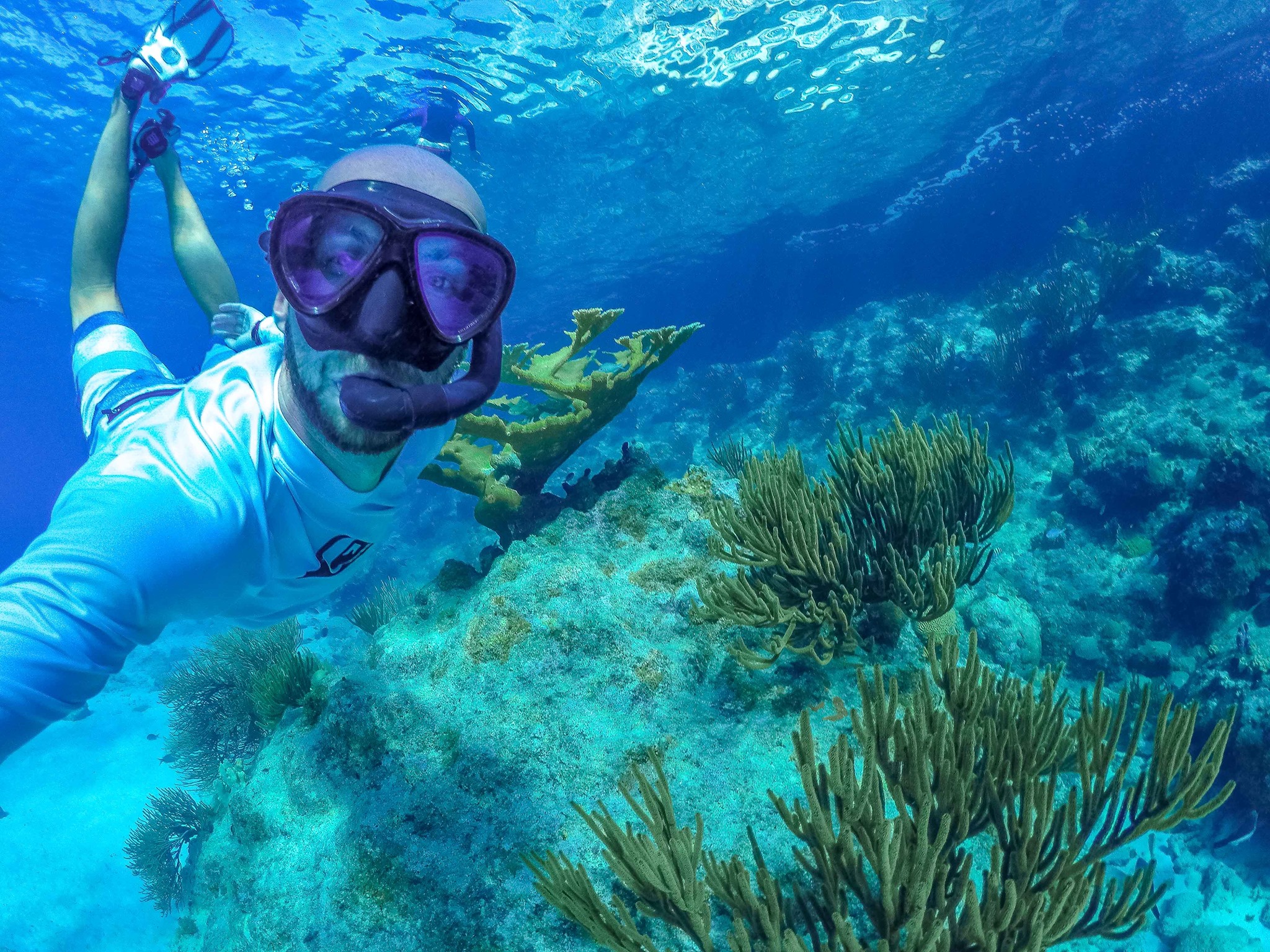 snorkel, underwater world, sea