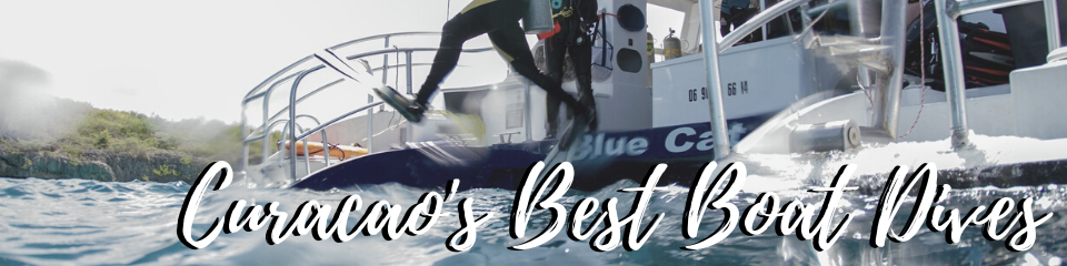 Curacao's beste boat dives