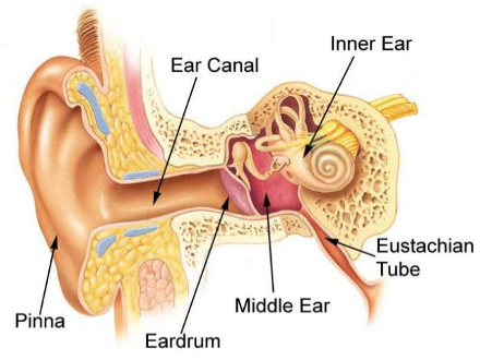Equalizing, inside of an ear