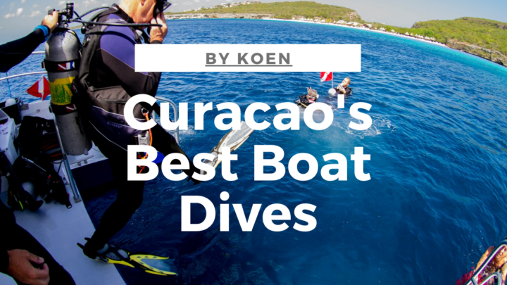 Curacao's best baat dives