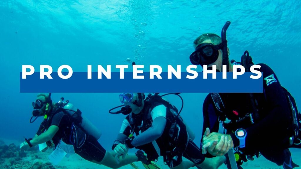 dive pro internships