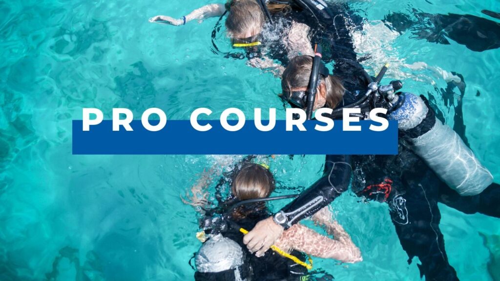 dive pro courses