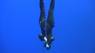 Freedive swimming down