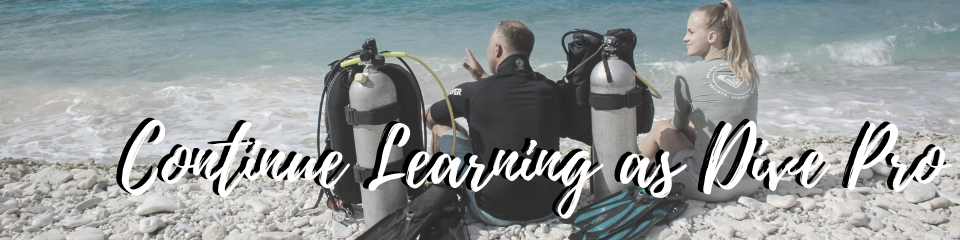 continue learning as Dive Pro