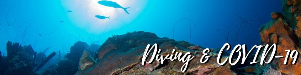 Diving & Covid-19