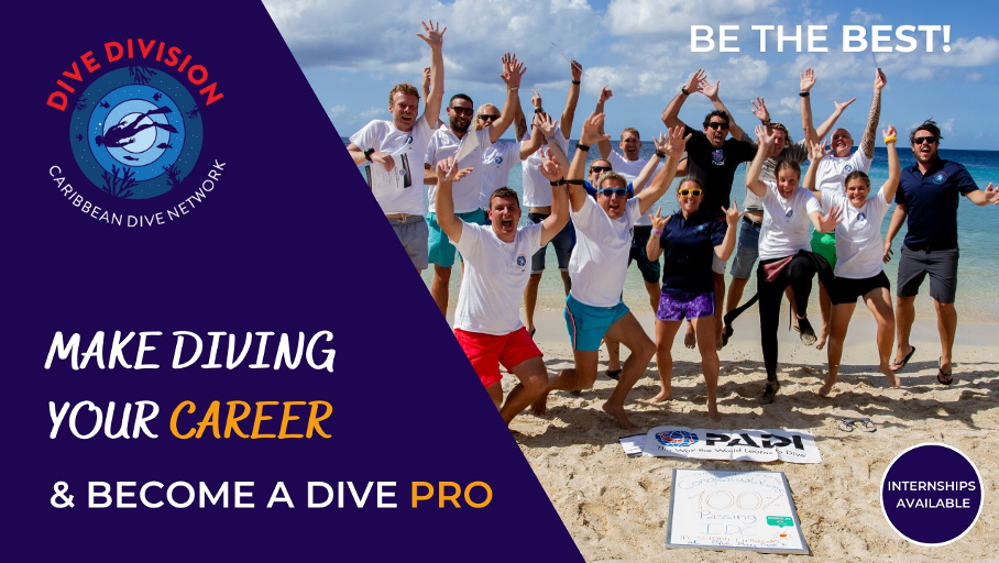 Make diving your career
