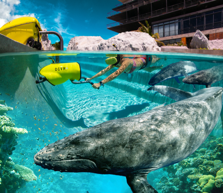 Virtual Reality Snorkeling on Curacao